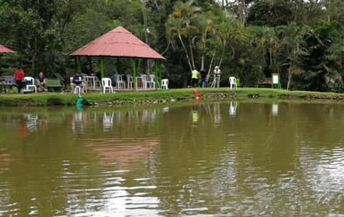 Pesca Deportiva en Andalucía Valle | livevalledelcauca.com