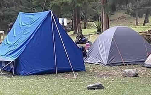Zonas de Camping en Andalucía | livevalledelcauca.com
