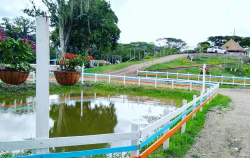 Restaurante La Granja, Ansermanuevo | livevalledelcauca.com