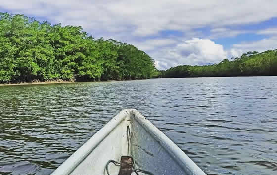 Casa Majagua, Buenaventura | livevalledelcauca.com