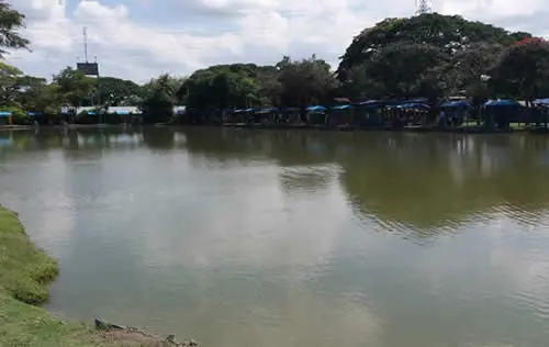 Pesca Deportiva en Buenaventura | livevalledelcauca.com