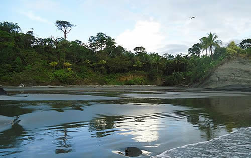 Playa Ladrilleros, Buenaventura | livevalledelcauca.com