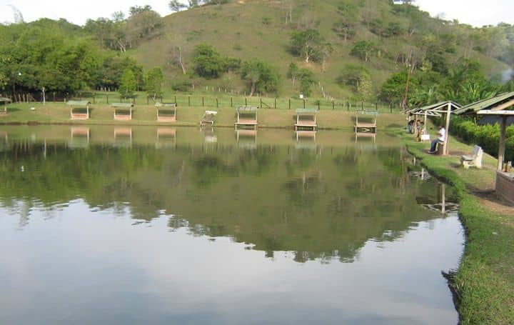 Pesca Deportiva La Trinidad, Buga Valle | livevalledelcauca.com