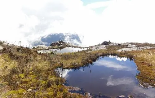 Parque Nacional Natural Farallones de Cali, Santiago de Cali | livevalledelcauca.com