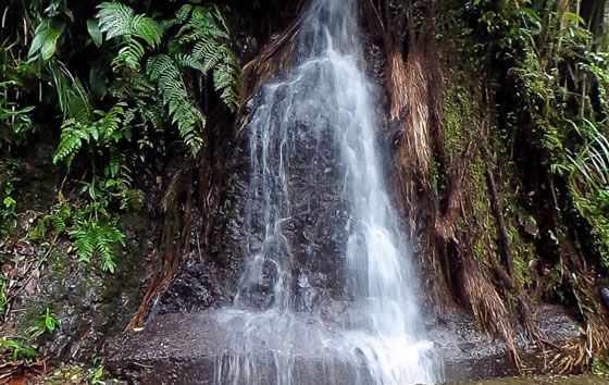 Cascada de Maria Luisa, Calima Darien | livevalledelcauca.com