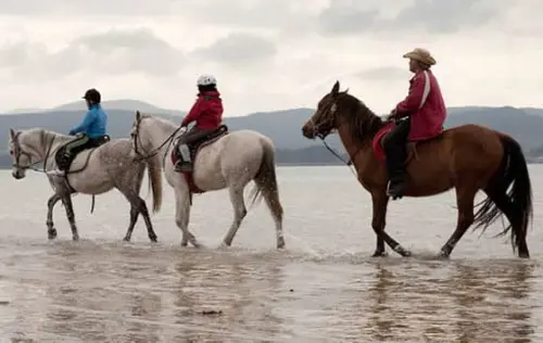 Paseo a Caballo en el Lago Calima | livevalledelcauca.com