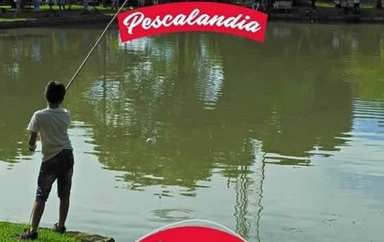 Pesca Deportiva Pescalandia, Cartago | livevalledelcauca.com
