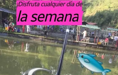 Balneario Las Palmas, Cartago | livevalledelcauca.com