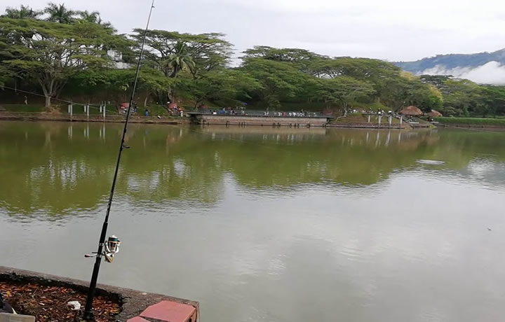 Pesca Deportiva en Cartago | livevalledelcauca.com