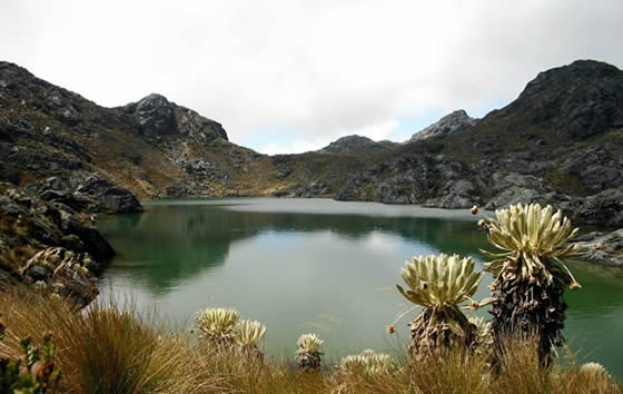 Parque Nacional Natural Las Hermosas, El Cerrito | livevalledelcauca.com