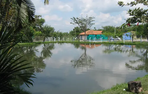 Pesca Deportiva en El Cerrito | livevalledelcauca.com