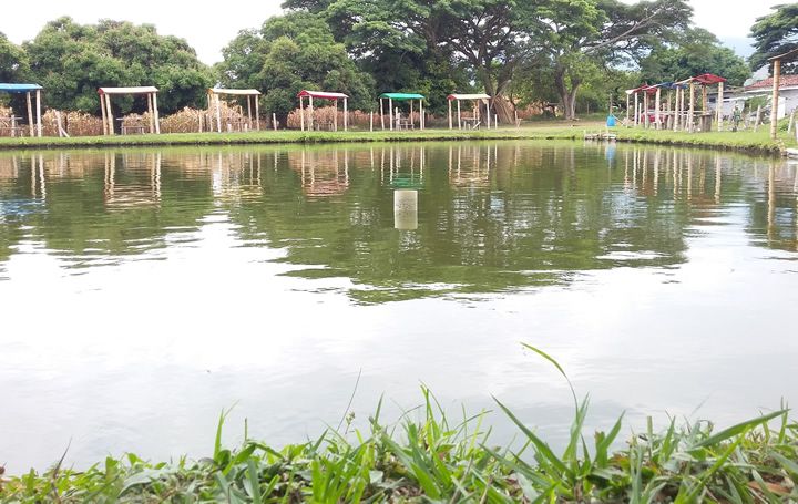 Pesca Deportiva Las Vegas, La Floresta, Ginebra Valle | livevalledelcauca.com