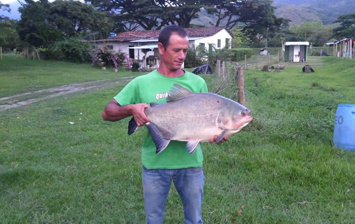 Pesca Deportiva Las Vegas, La Floresta, Ginebra Valle | livevalledelcauca.com