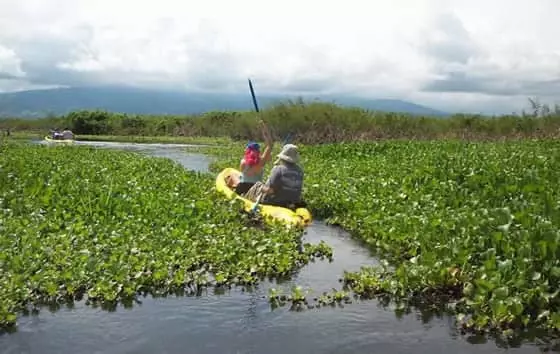 Laguna de Sonso, Guacarí | livevalledelcauca.com