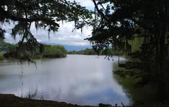 Madrevieja Videles, Guacarí | livevalledelcauca.com