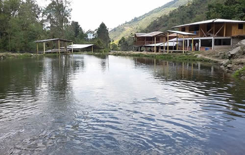 Pesca Deportiva en Guacarí | livevalledelcauca.com