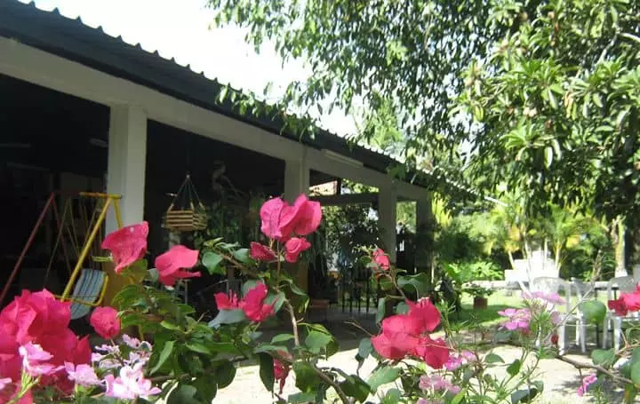 Restaurante El Amparo, Guacarí Valle | livevalledelcauca.com