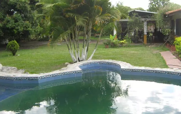 Restaurante El Amparo, Guacarí Valle | livevalledelcauca.com