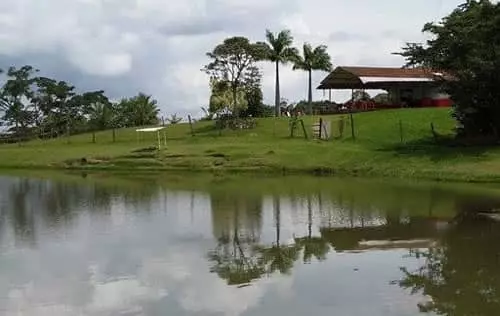 Pesca Deportiva en La Cumbre Valle | livevalledelcauca.com