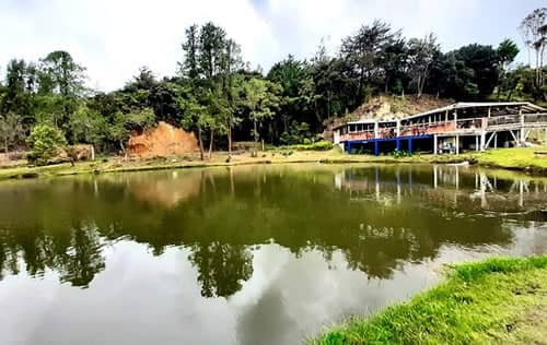 Pesca Deportiva en La Unión Valle | livevalledelcauca.com