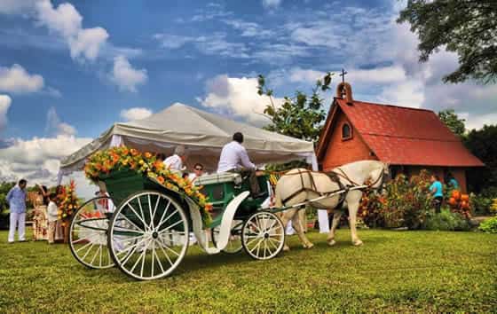 Paseo en Victoria, Palmira | livevalledelcauca.com