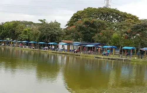 Pesca Deportiva Martín Pescador, Palmira | livevalledelcauca.com