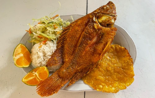 Pesca Deportiva Mi Lago, Rozo, Palmira | livevalledelcauca.com