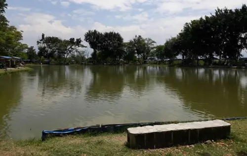 Pesca Deportiva Mi Lago, Rozo, Palmira | livevalledelcauca.com