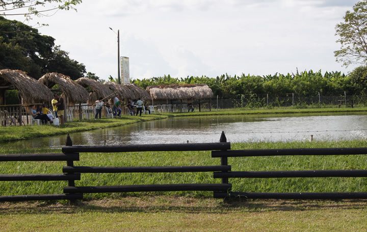 Restaurante Porkys, Rozo, Palmira | livevalledelcauca.com