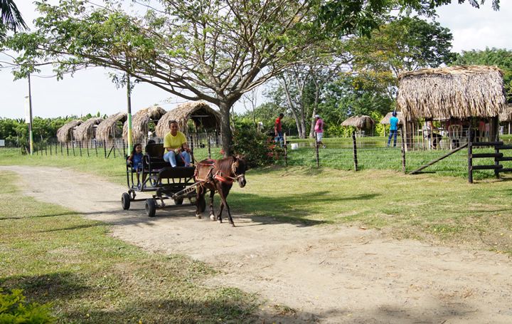 Restaurante Porkys, Rozo, Palmira | livevalledelcauca.com