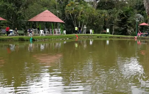 Pesca Deportiva en Roldanillo | livevalledelcauca.com