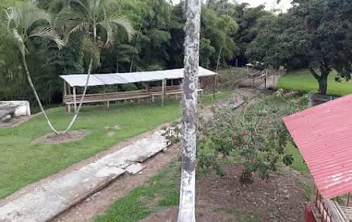 Club Campestre Sevilla Valle | livevalledelcauca.com