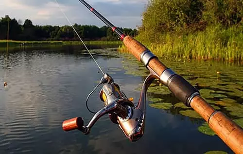 Pesca Deportiva en Sevilla | livevalledelcauca.com