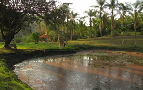 Jardín Botánico Juan María Céspedes, Tuluá | livevalledelcauca.com