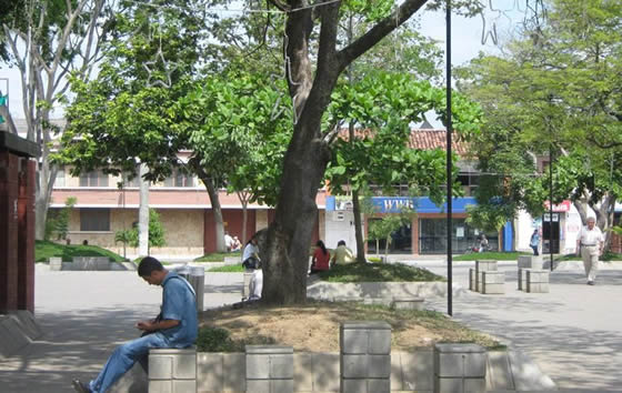 Plaza Cívica Boyacá, Tuluá | livevalledelcauca.com