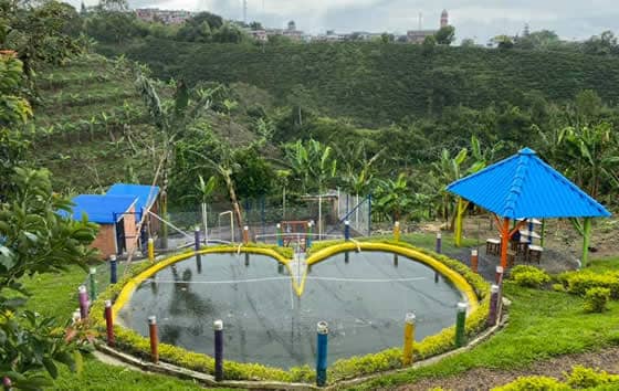 Finca Campestre Don Salvador, Ulloa | livevalledelcauca.com