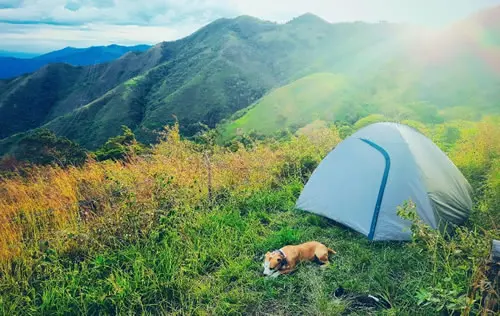 Camping en Versalles | livevalledelcauca.com