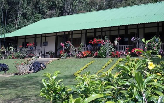 Reserva Nacional Forestal Bosque de Yotoco | livevalledelcauca.com