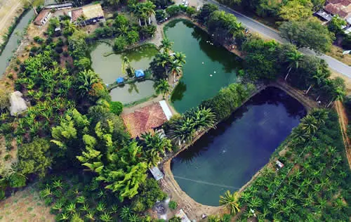 Pesca Deportiva en Buga | livevalledelcauca.com